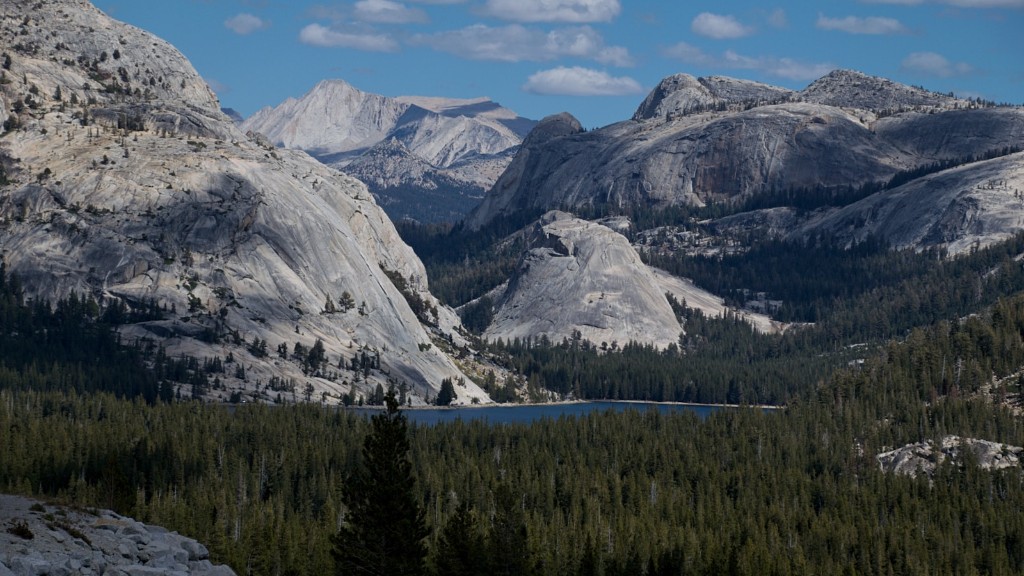 Hvilke aktiviteter kan du lave i Yosemite National Park
