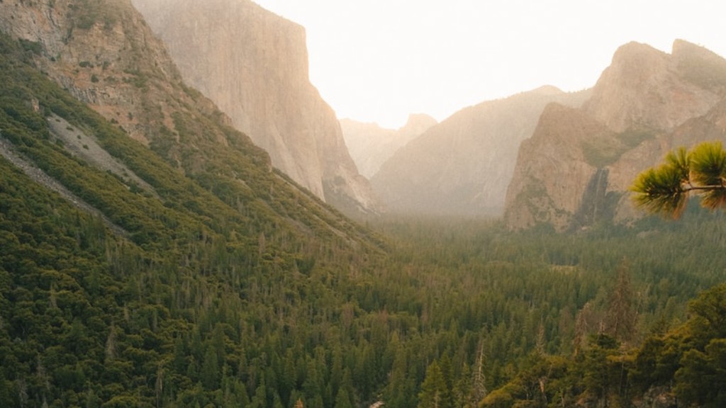 Et billede af Yosemite Sam